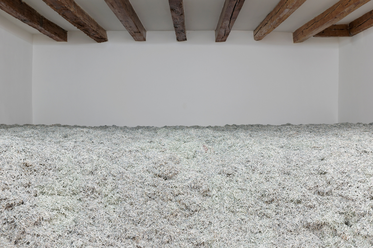 Christodoulos Panayiotou, 2008, 2008, shredded paper (Cypriot pounds), dimensions variable. Two Days After Forever – Cyprus Pavilion at the 56rd International Art Exhibition – La Biennale di Venezia. Photograph by: Aurélien Mole.