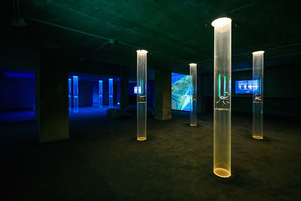 Entangled Others, Artificial Remnants, 2019-2021. Exhibition view at Aiiiii, 2021