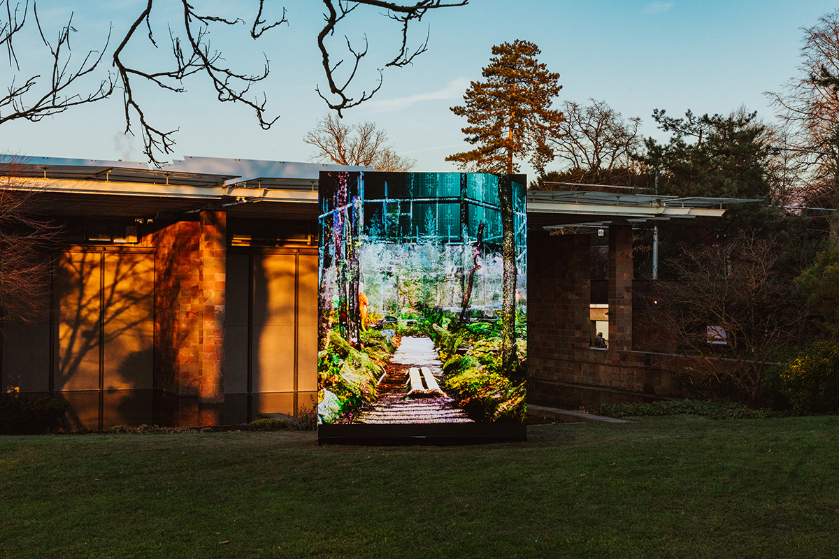 Jakob Kudsk Steensen, Boreal Dreams, 2024-25: Live simulation. In collaboration with Northern Research Station of the USDA Forest Service. Commissioned by the Fondation Beyeler, Riehen/Basel. Installation view: Fondation Beyeler 2025. Photograph by: Mark Niedermann. Courtesy the artist.