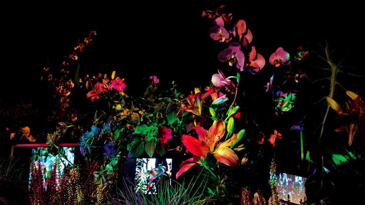 Wu Ziwei, Mimicry, 2020-2021, flower, camera, screen, Raspberry Pi, projector, Genetic algorithm. © Wu Ziwei