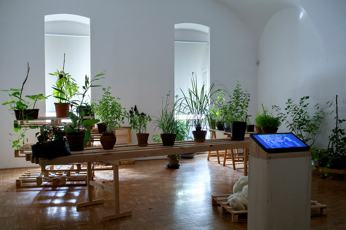 Andreja Džakušicˇ with coworkers, Hanging Gardens, 2015, installation in Gallery of Contemporary Art,  exhibition of Andreja Džakušicˇ, Daniela Krajčova, Simon Macuh, Estela Žutič & Gilles Duvivier: WE MEET AT SIX. Proposals for Communal Practices and Green Areas in Celje. Zavod CELEIA Celje – Center sodobnih umetnosti (Center for Contemporary Arts). Photo Tomaž Černej.