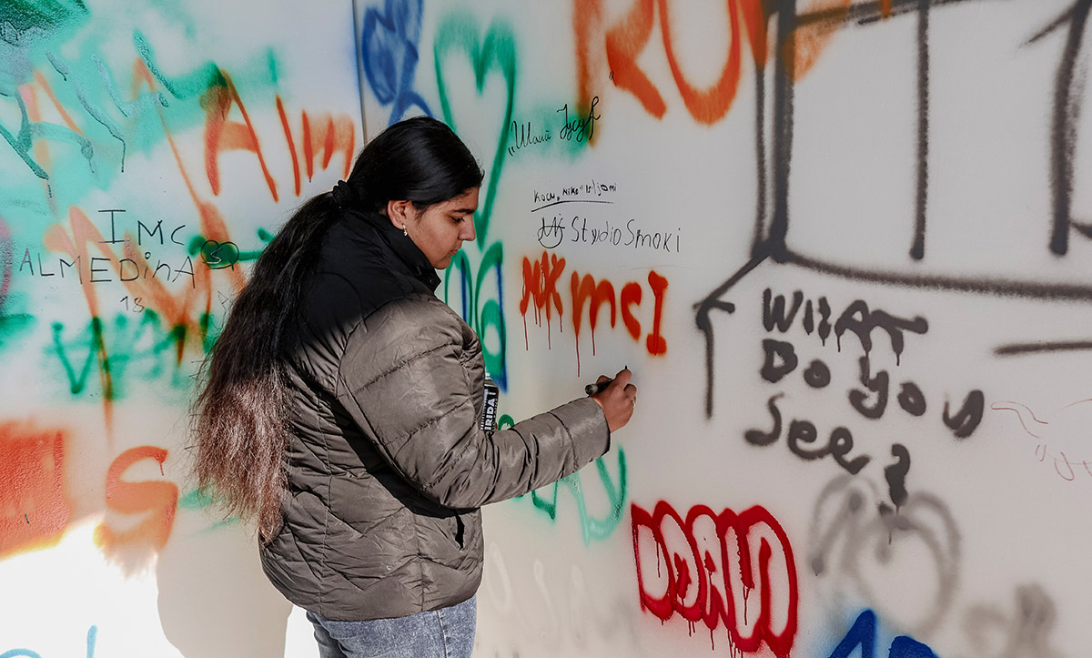 if walls could tell, Skopje